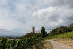 20200824-0920-lores-38