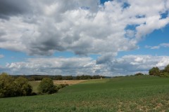 20200906-1242-lores-54