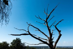 20200910-1254-lores-60