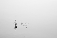 DSC08363