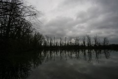 samyang-12mm-01